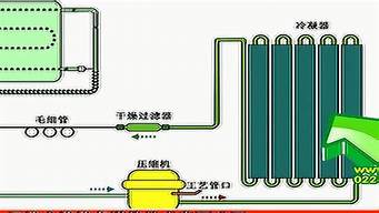 压缩式电冰箱制冷剂